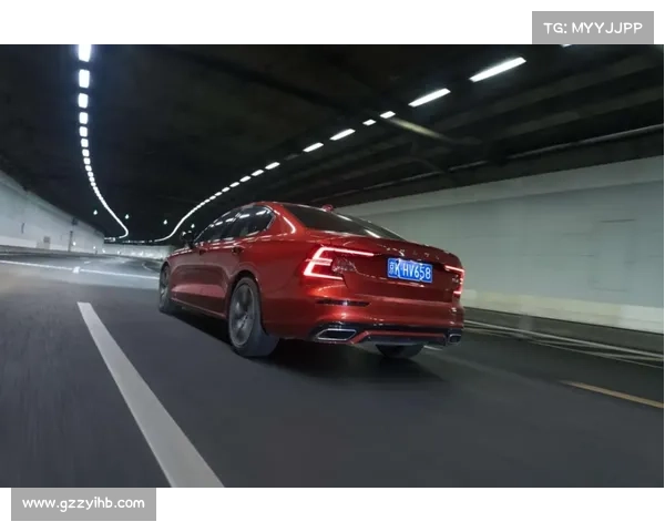 探索巴舒亚伊语言的独特魅力与文化深度解析